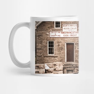 Mornigstar Mountain Mills at Decew Falls, Ontario Mug